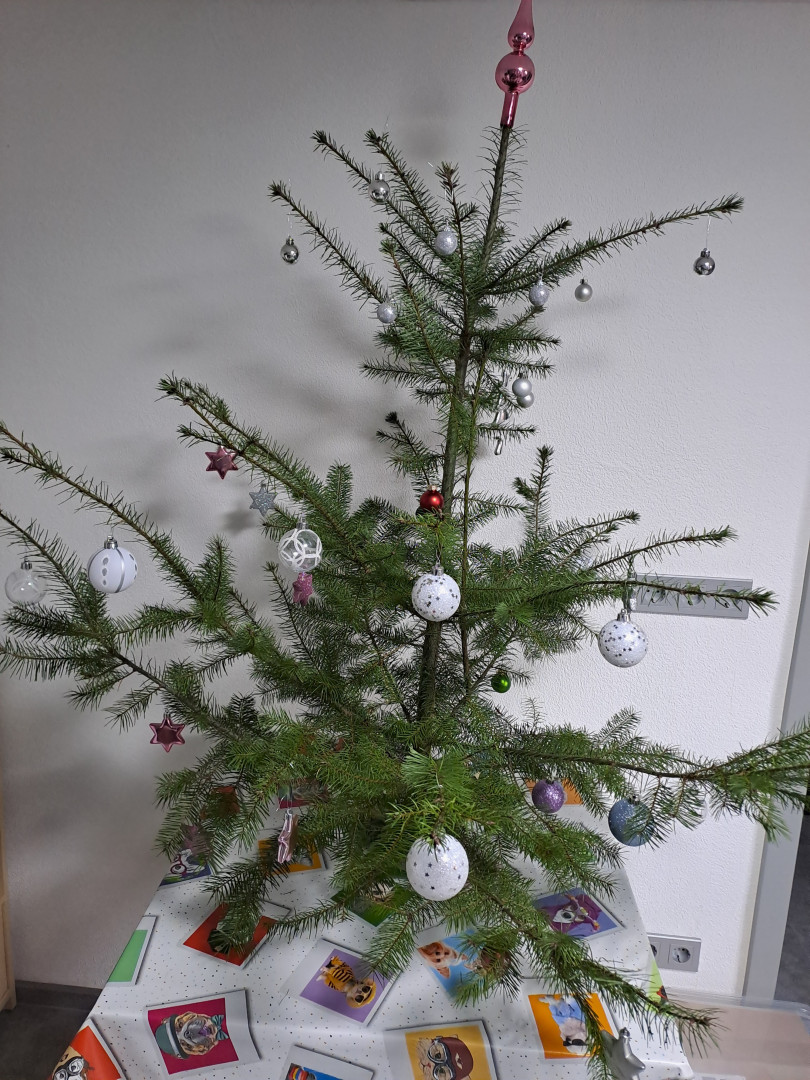 Weihnachtsbaum 🎄