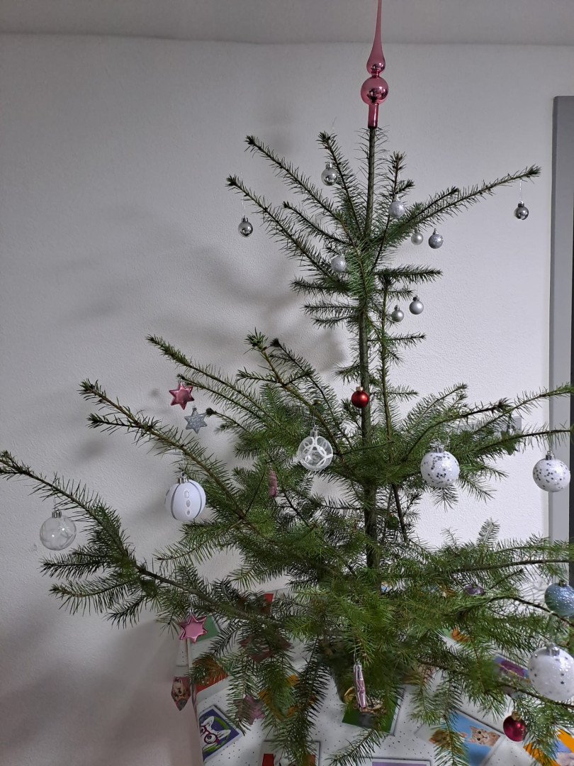 Weihnachtsbaum 2024