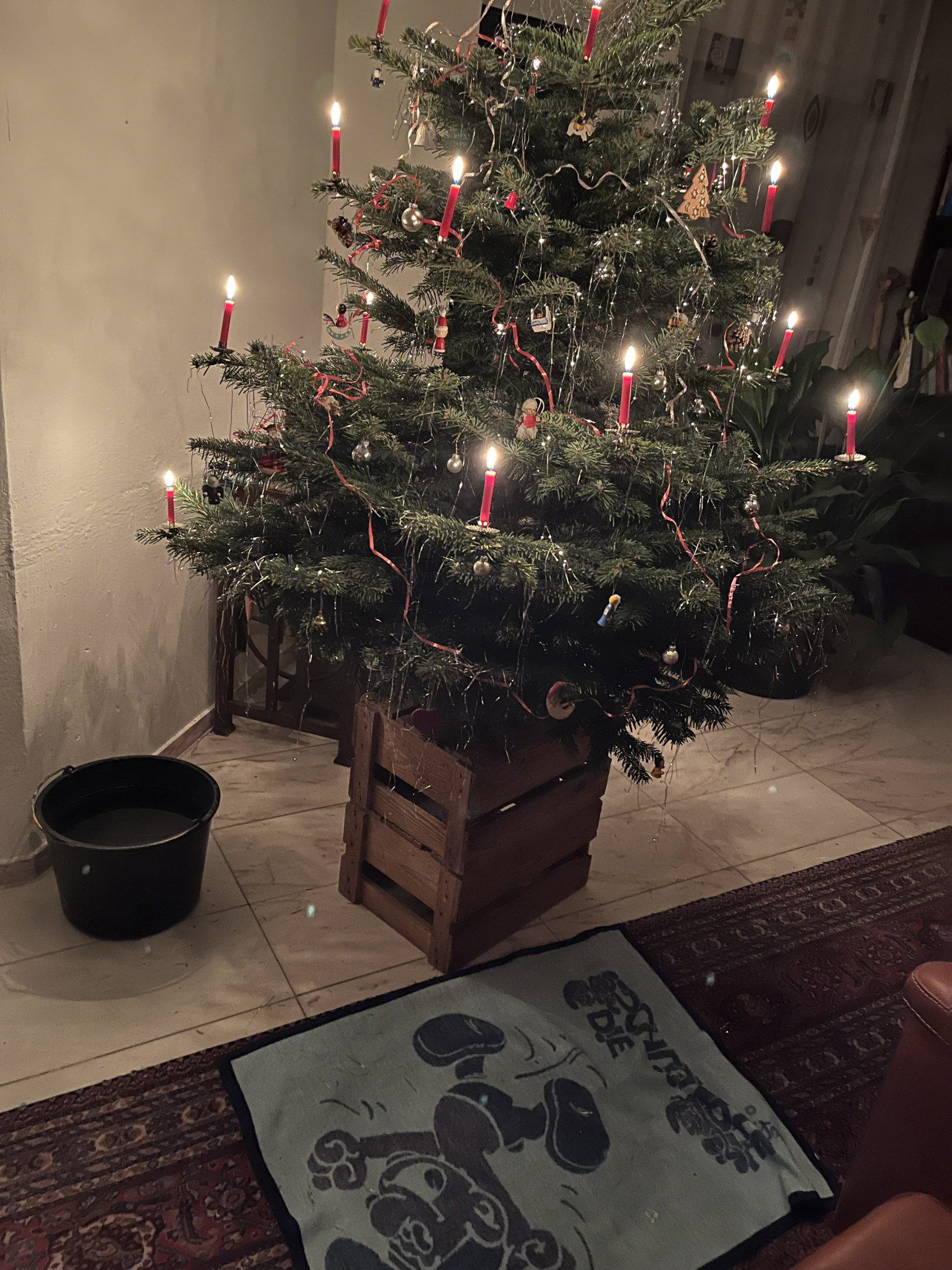 Weihnachtsbaum 2025