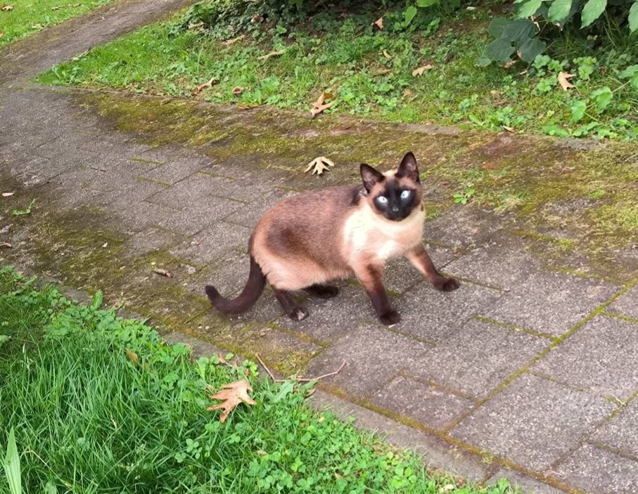 Kleine Erkundungstour :)
