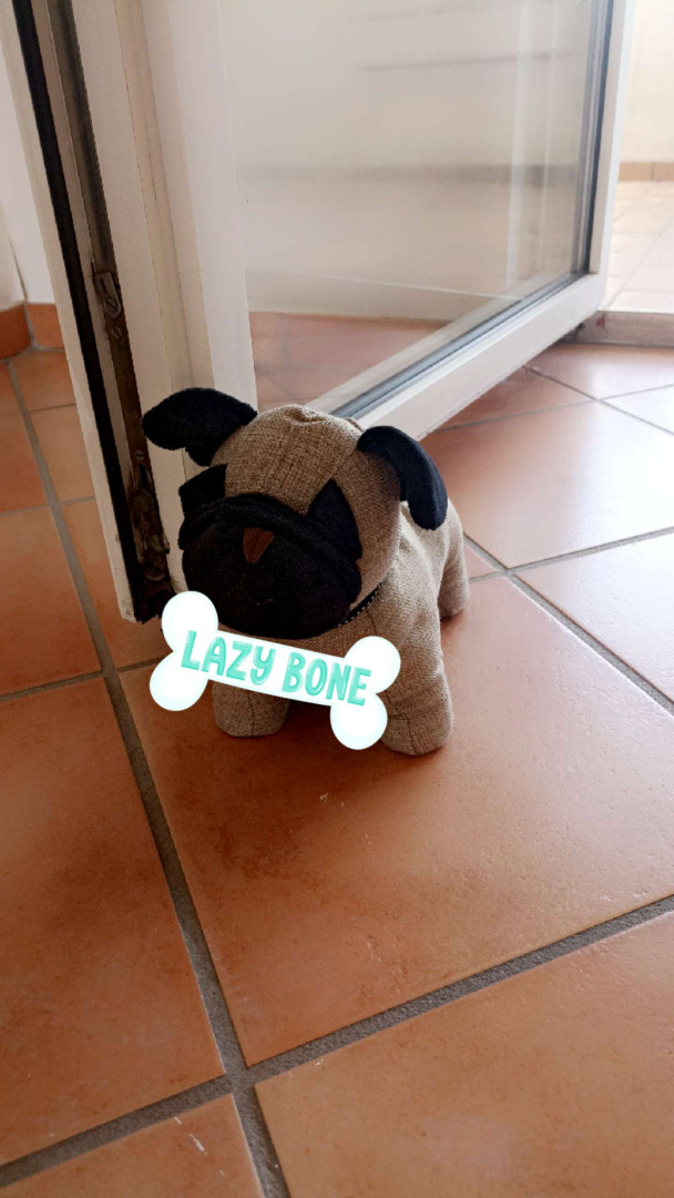 Guardian Dog