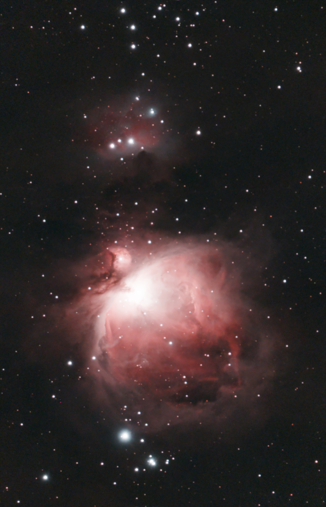 Orionnebel (M 42)