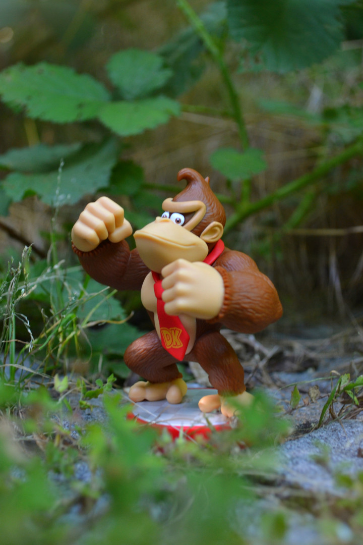 DK 8)