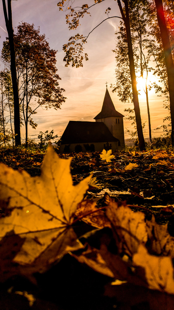 🐇🐛🐜🐿️🍁