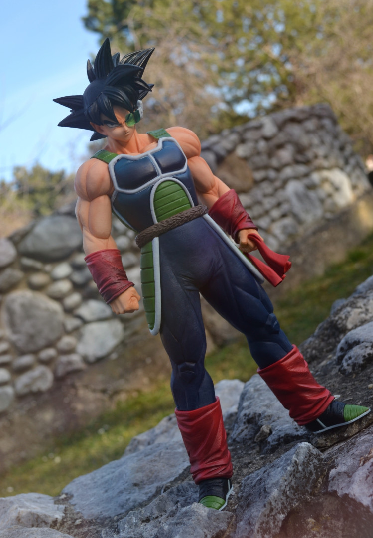 Bardock ~