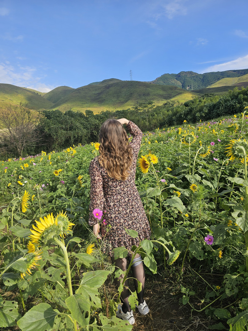 Ghibli-life in Japan.