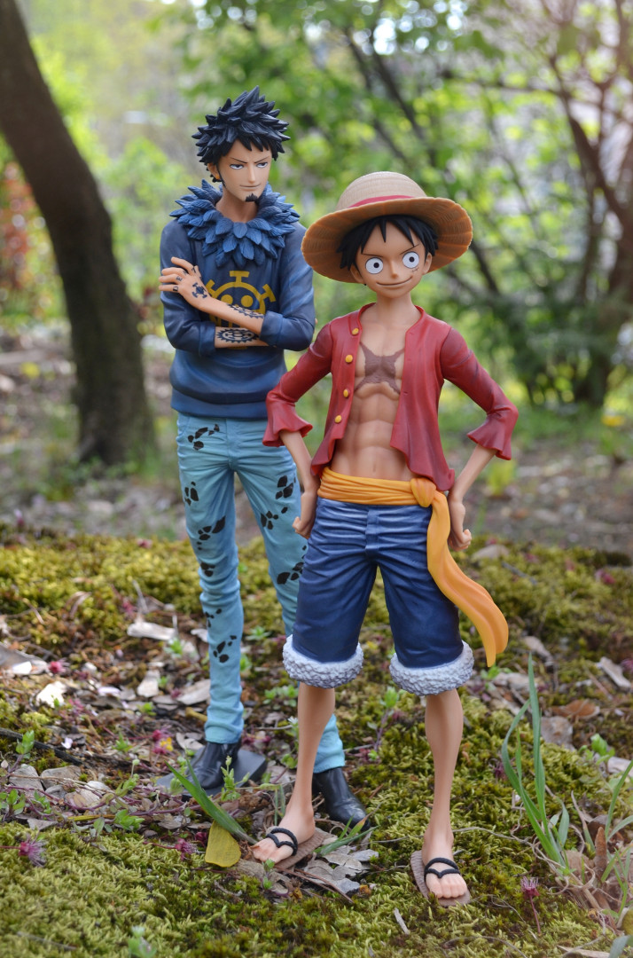 Luffy und Law