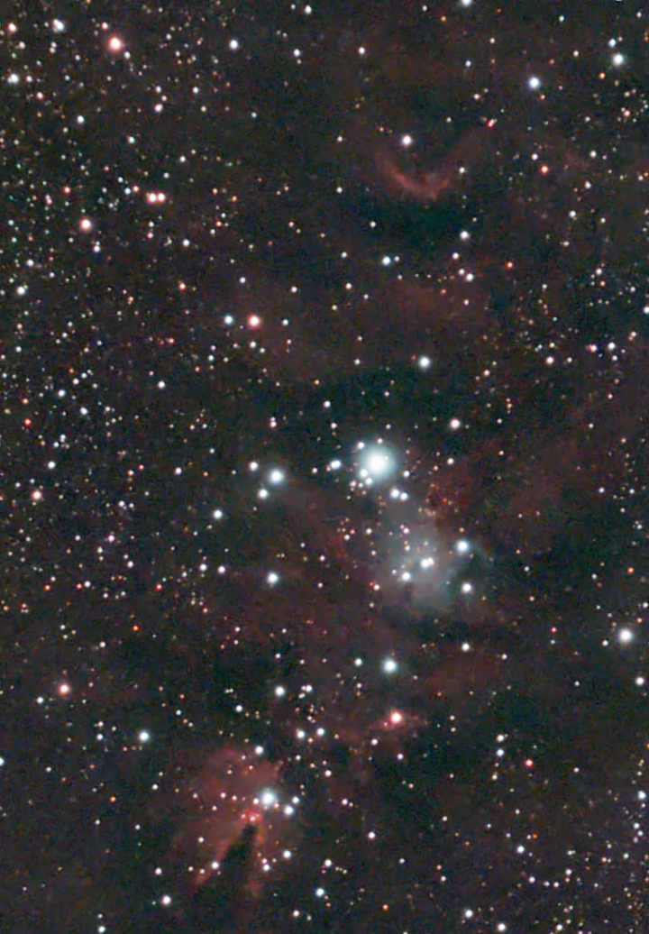 NGC 2264
