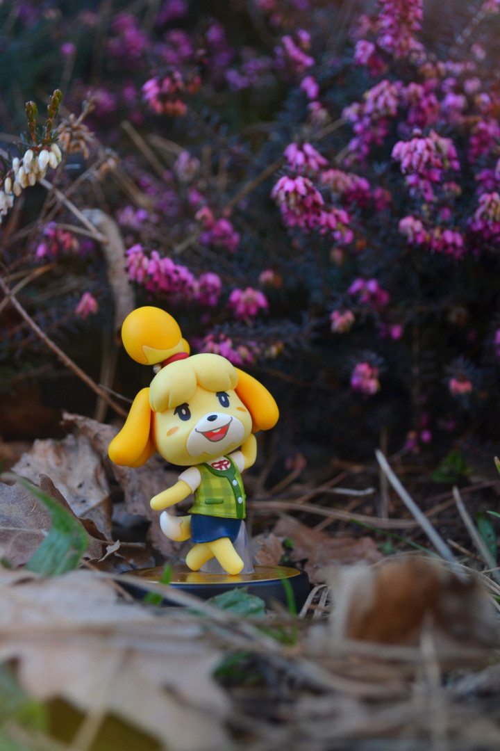 Isabelle ~