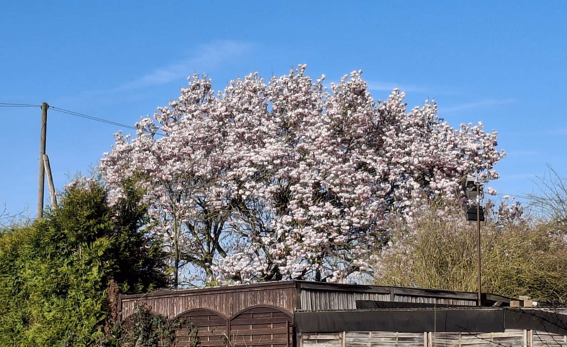 *_Ein schöner Frühlingstag_*