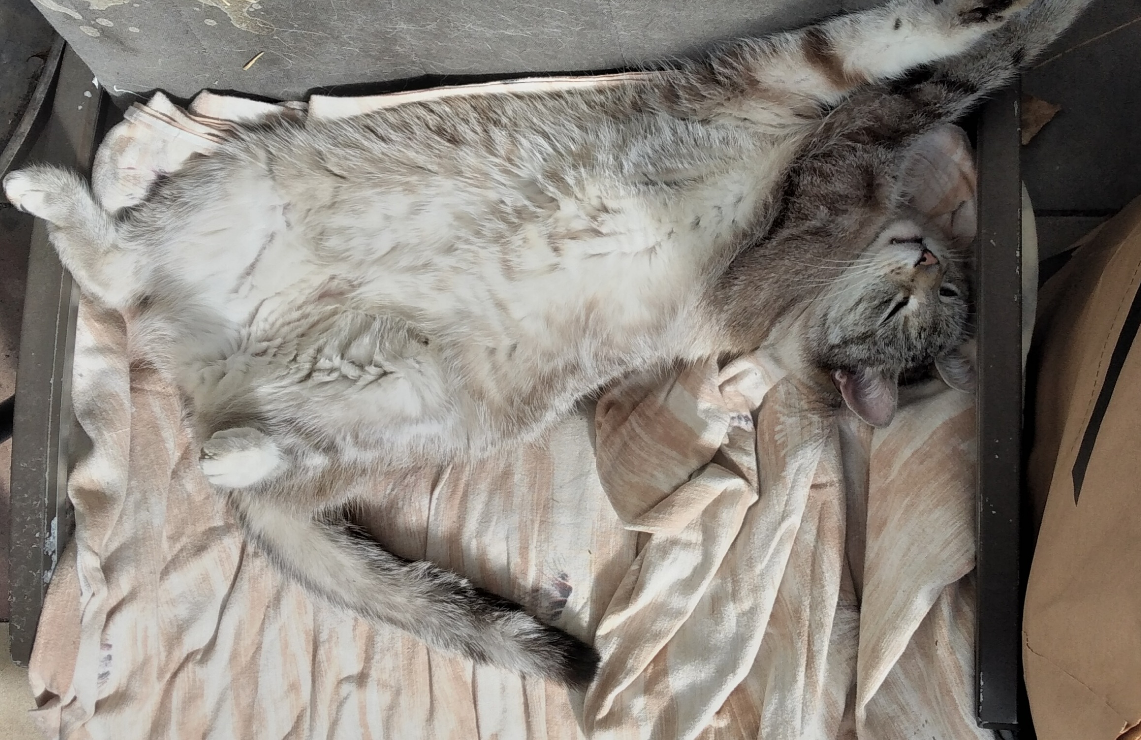 "•Einfach Chillen•"