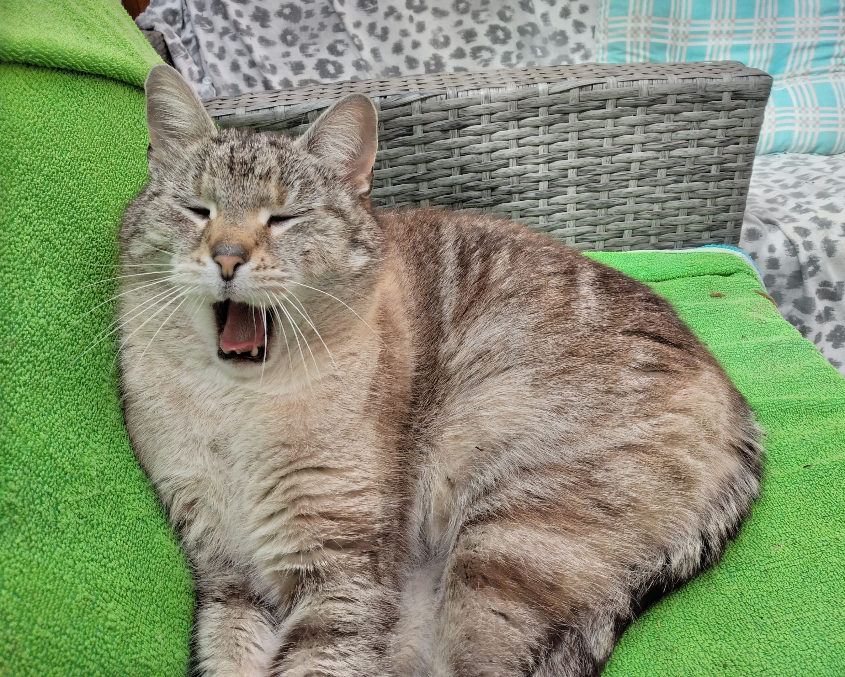 <▪︎Müüüüüde▪︎>