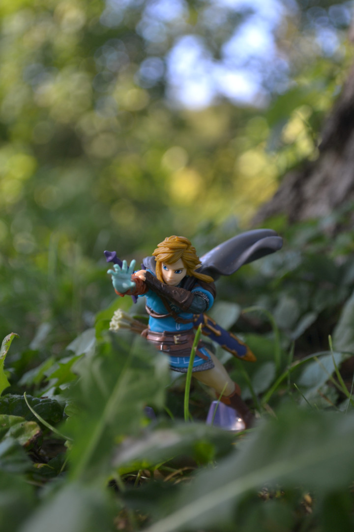 Link