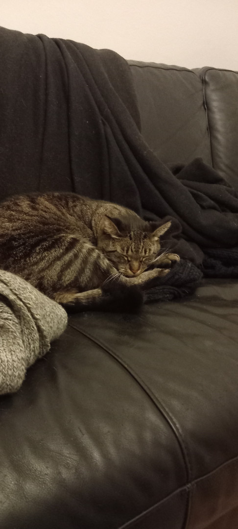 Meine Kleine 🥰