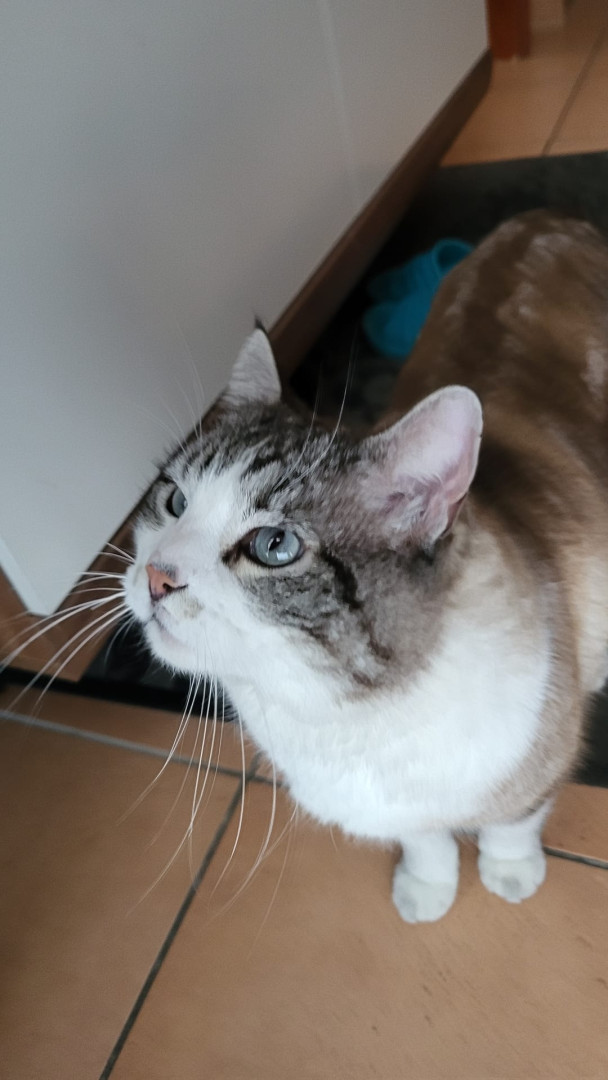 Tag 3 Benji-posting: Blaue Augen