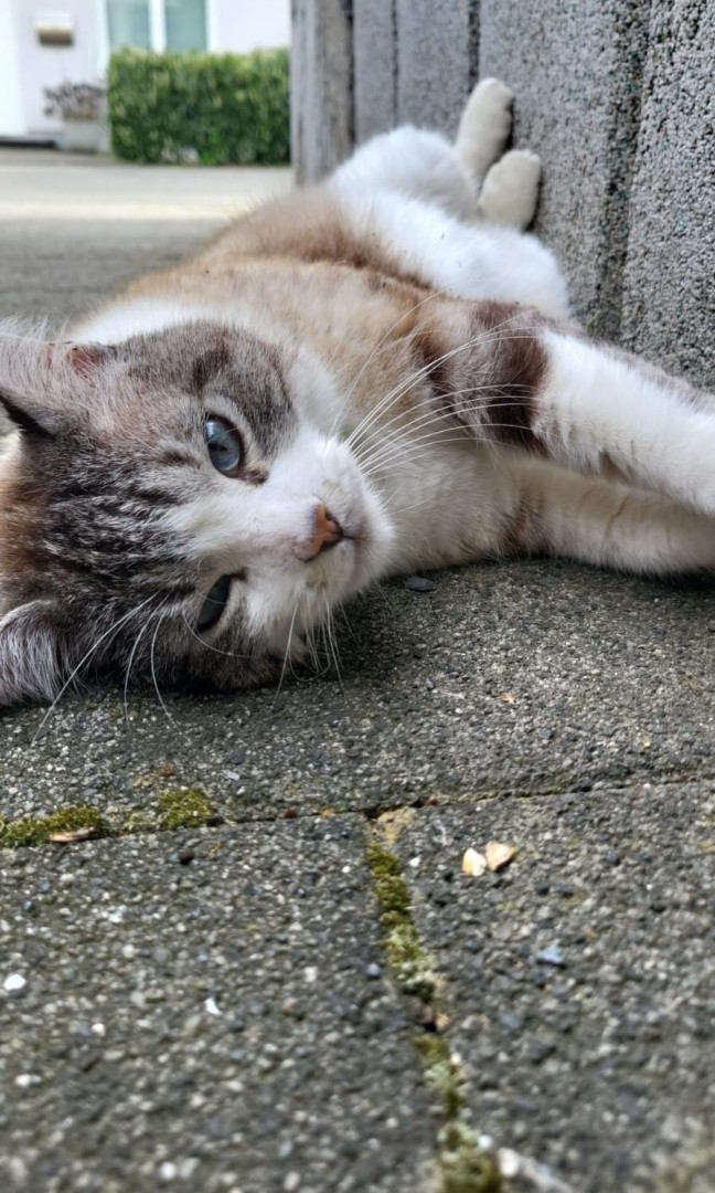 Heute etwas chillen.