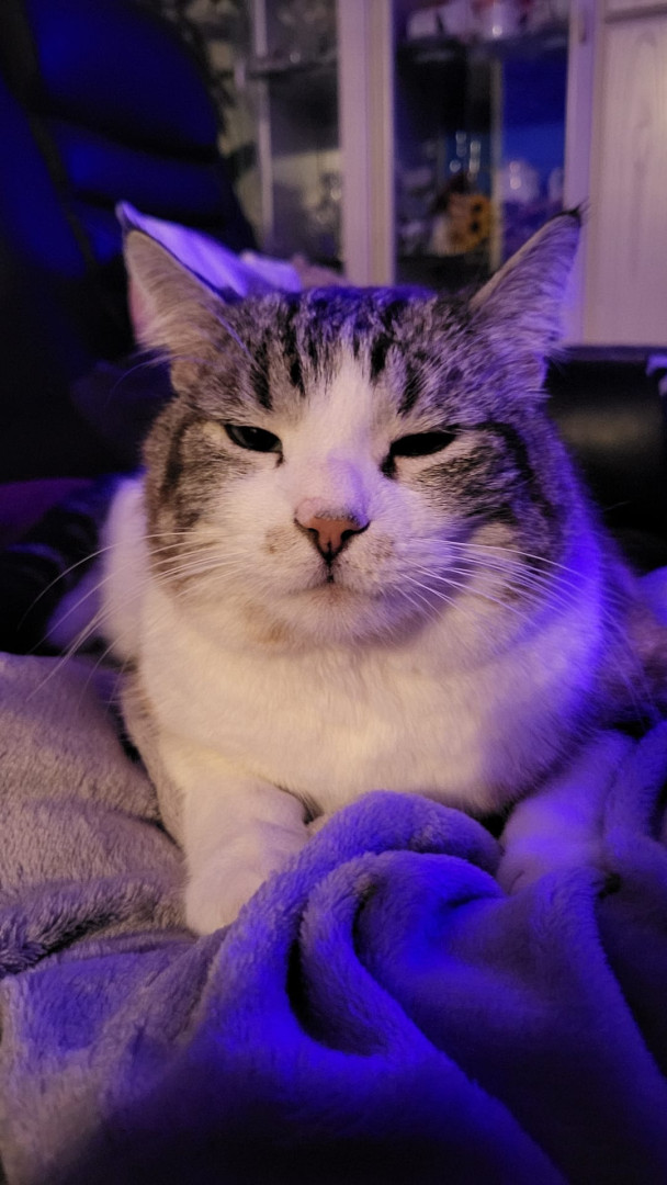He is not amused