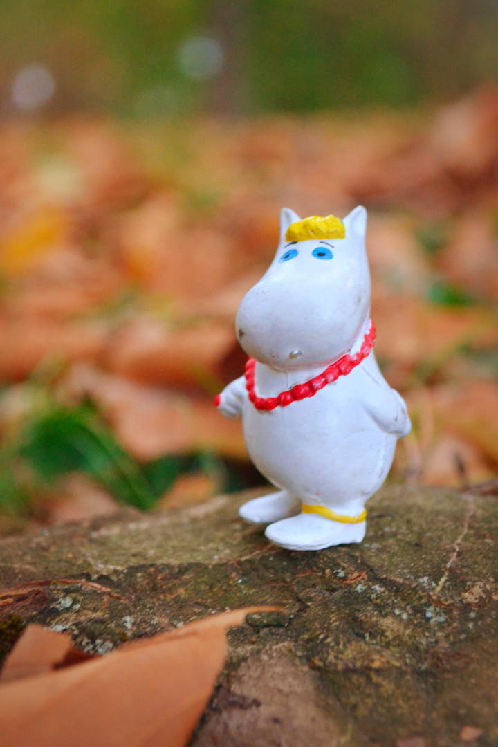 Mumin ~