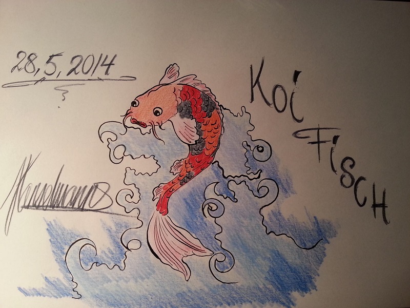 Koi Fisch