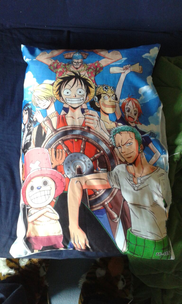 Mein One Piece Kissen