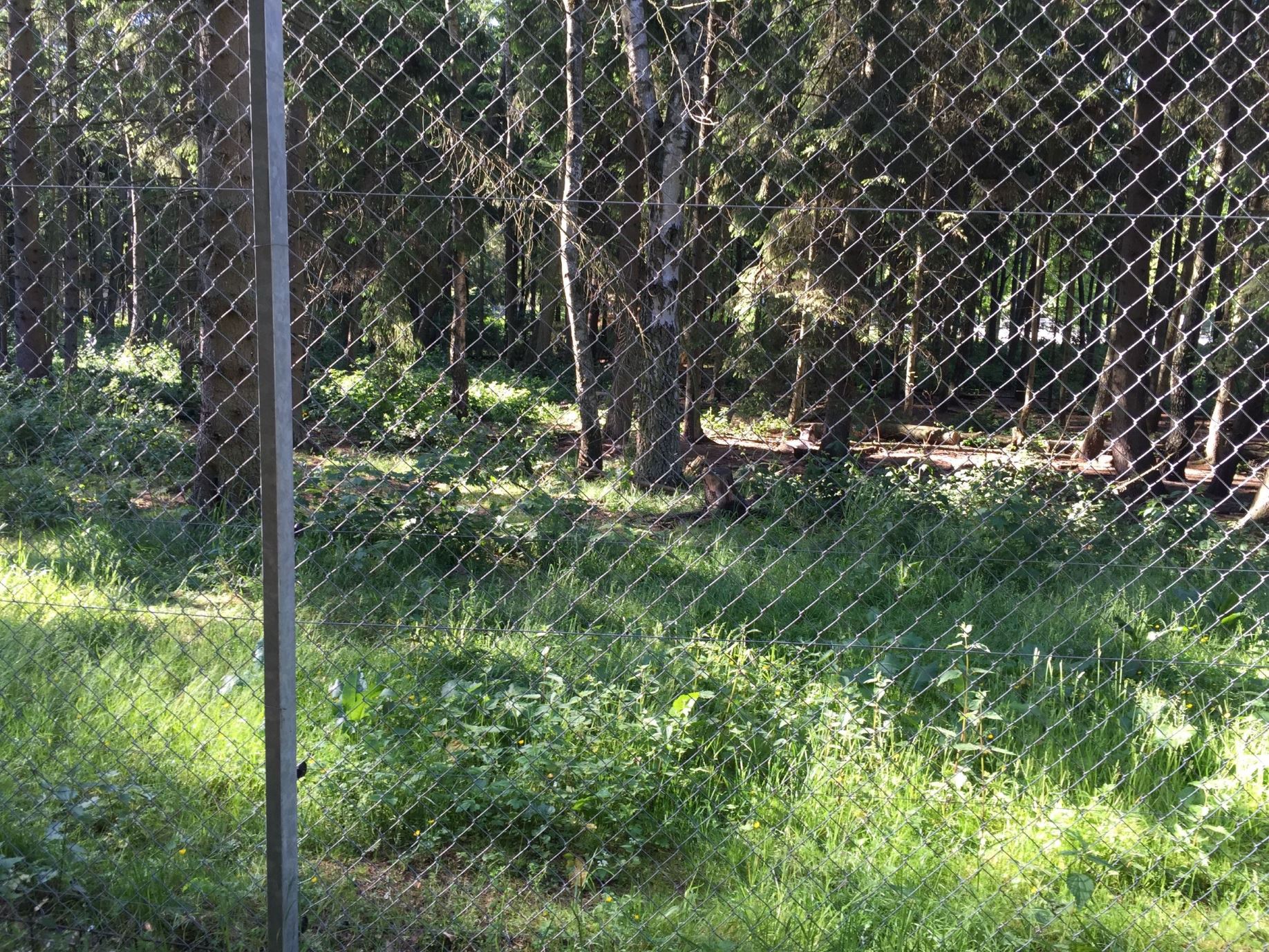 Naturerlebnisstätte Wildpark Eekholt in Großenaspe #2