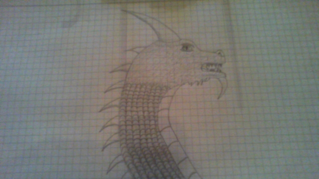 Drachen Zeichnung #1