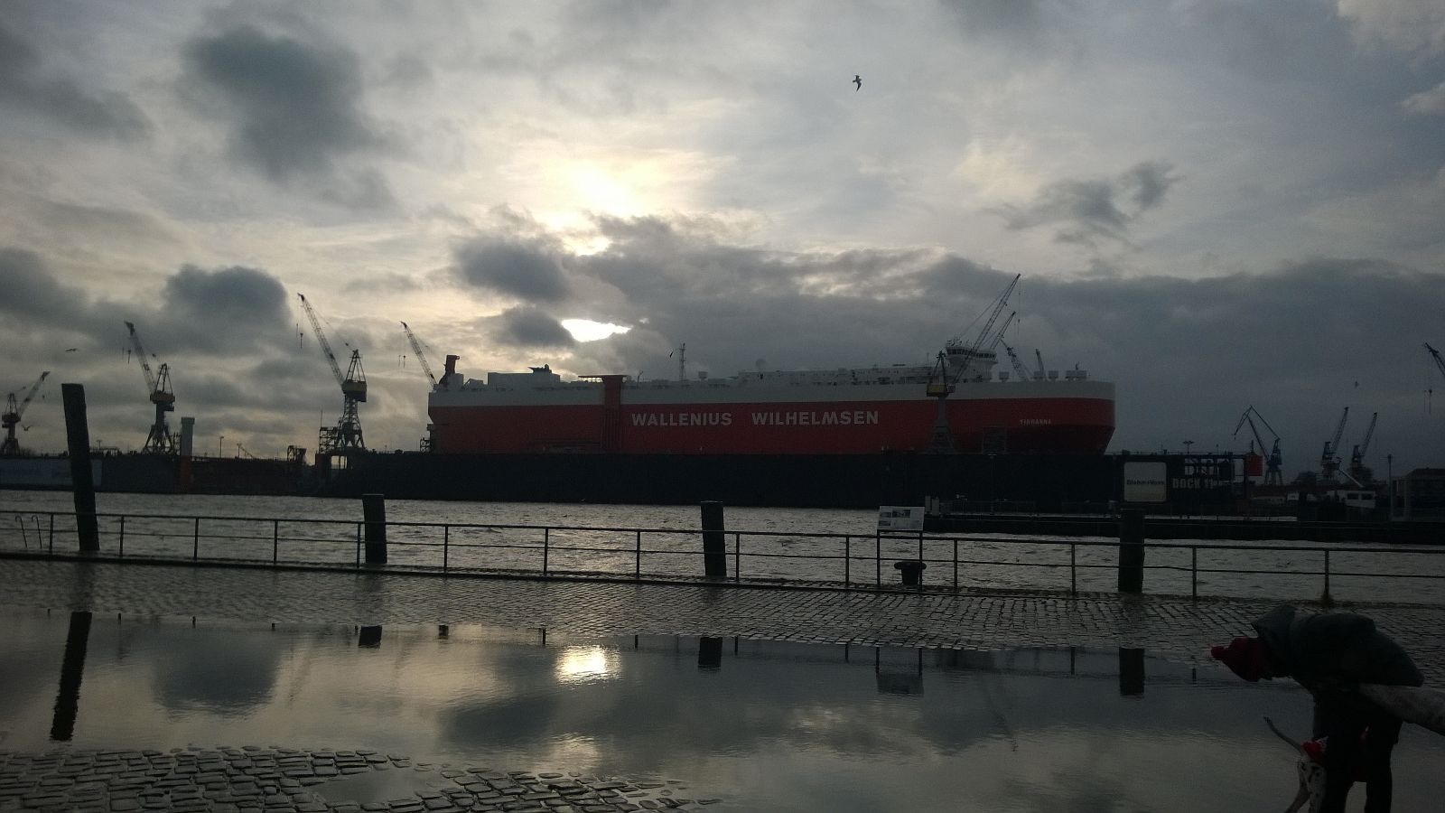 31. Januar 2016 - Am Fischmarkt, Hamburg