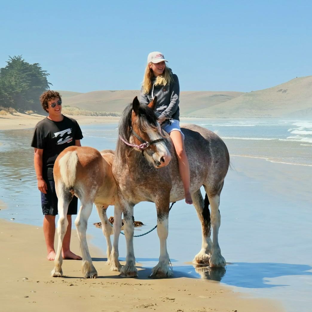 Having fun at the Eastcoast, South Island, New Zealand