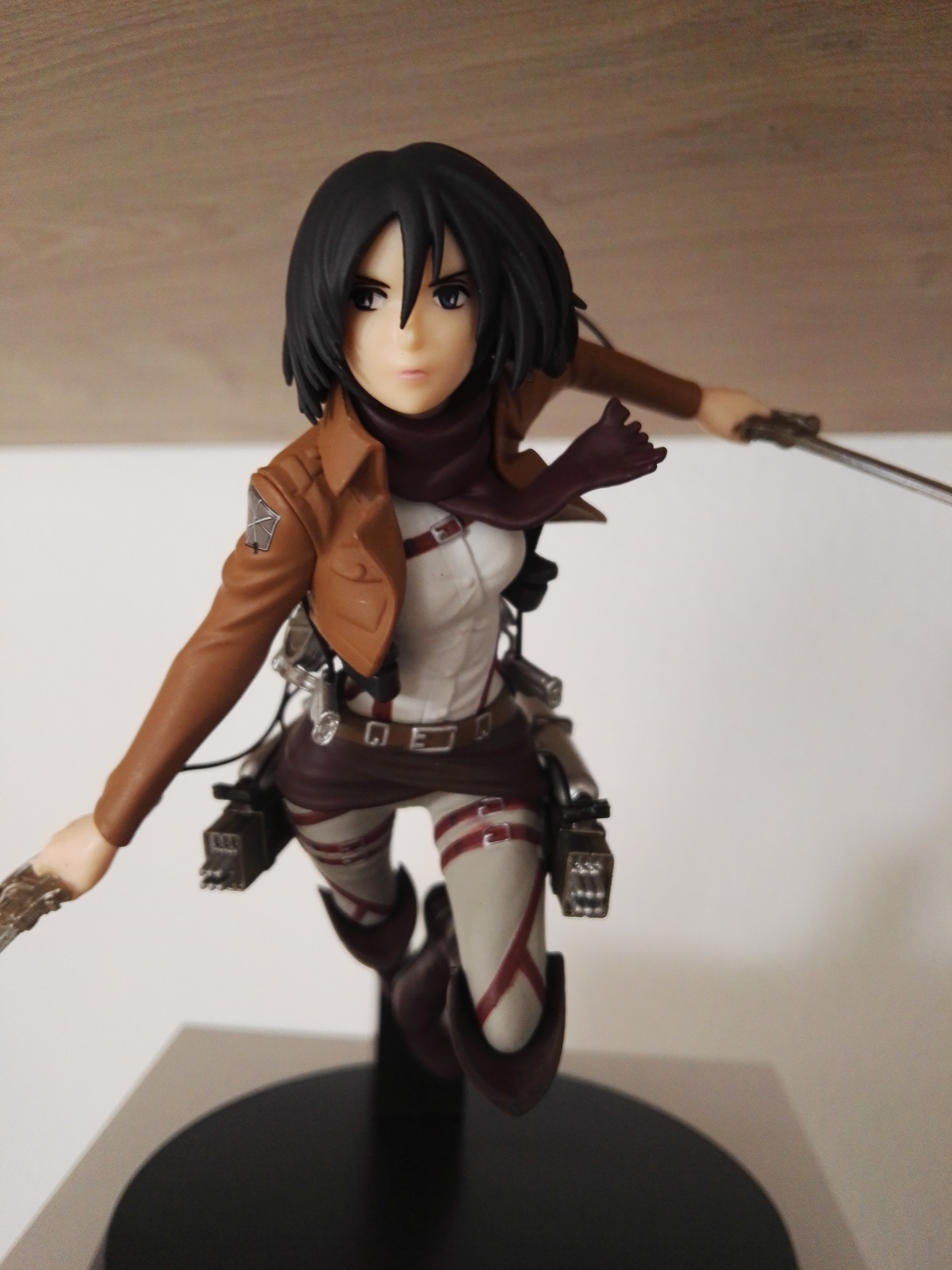 Mikasa