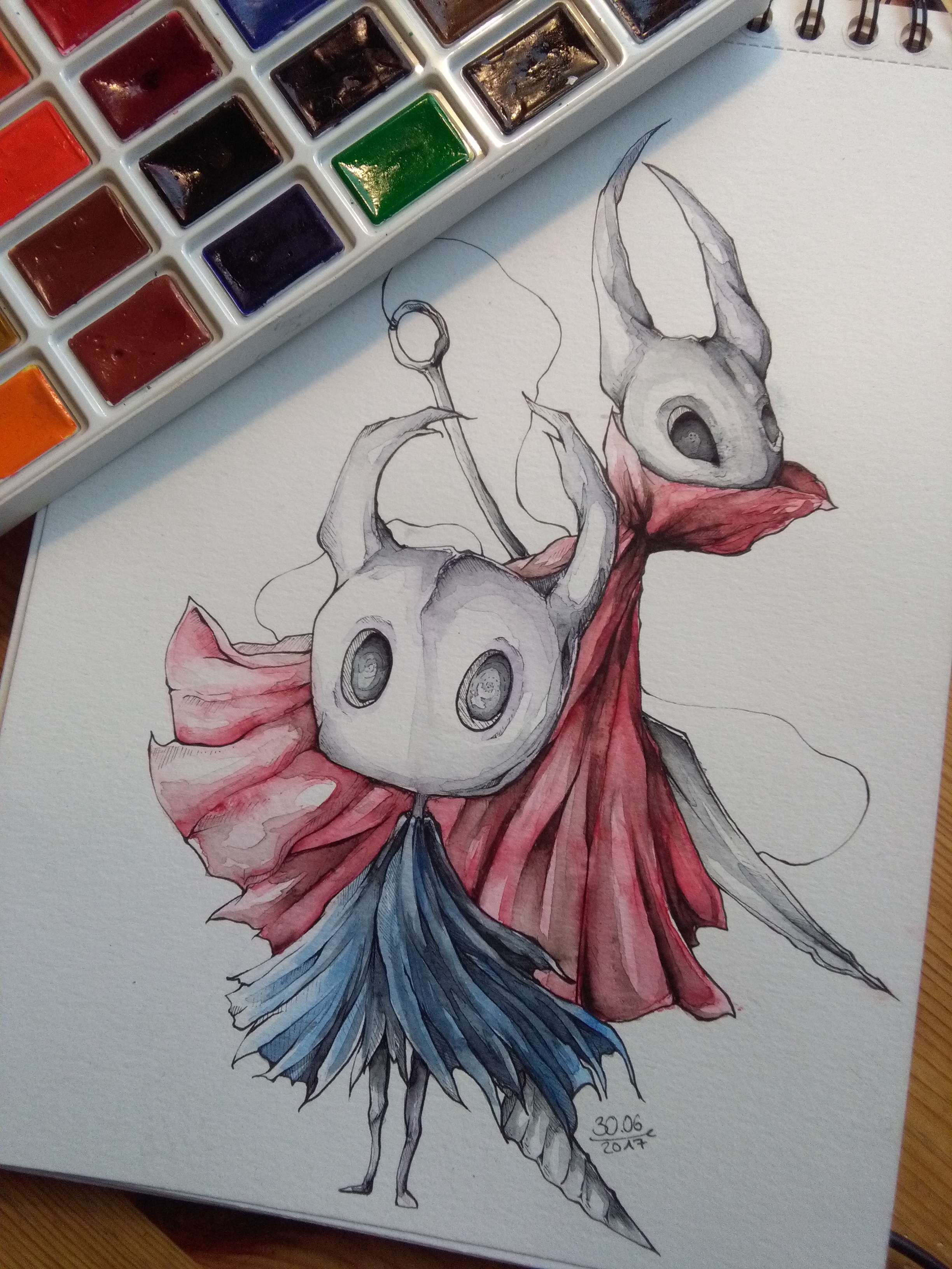 Hollow Knight