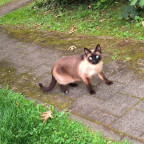 Kleine Erkundungstour :)