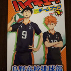 Haikyu!! Team Book Vol. 1 Karasuno