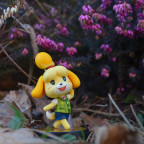 Isabelle ~