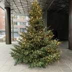 Dienstlicher Tannenbaum