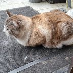 Tag 4: Loaf-Mode activate.