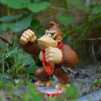 DK 8)