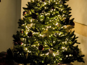 Weihnachtsbaum im Rathaus Teltow