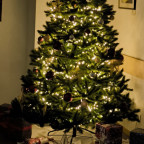 Weihnachtsbaum im Rathaus Teltow