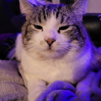He is not amused