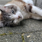 Heute etwas chillen.