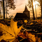 🐇🐛🐜🐿️🍁