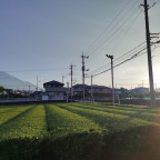 Sonnenaufgang beim Fuji