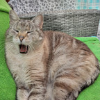 <▪︎Müüüüüde▪︎>