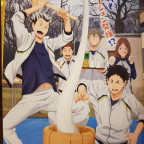 Haikyu!! Team Book Vol. 3 Fukurodani, Shiratorizawa, Dateko
