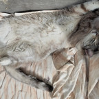 "•Einfach Chillen•"