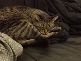 Meine Kleine 🥰
