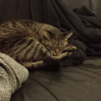 Meine Kleine 🥰