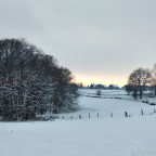 ▪︎*Januar 2024*▪︎