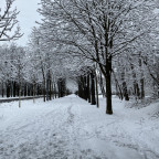 Spaziergang im Wald 4