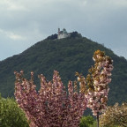 Schöne Aussicht